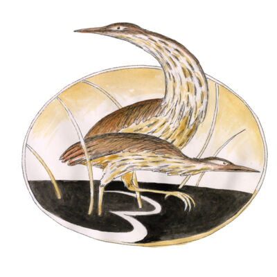 Te Henga/Bethells Beach Thumbnail