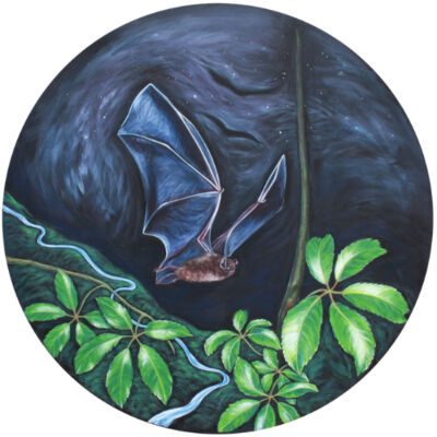 Waiwhauwhaupaku/Swanson Village Thumbnail