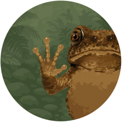 Huia Village Thumbnail