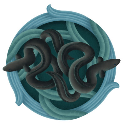 Muri o Hikurangi/Laingholm Village Thumbnail