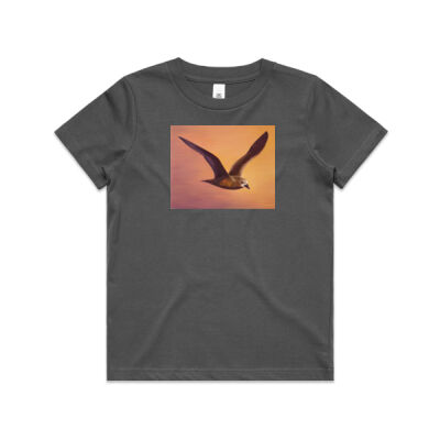 Oi/Grey-Faced Petrel - AS Colour / YOUTH STAPLE TEE Thumbnail